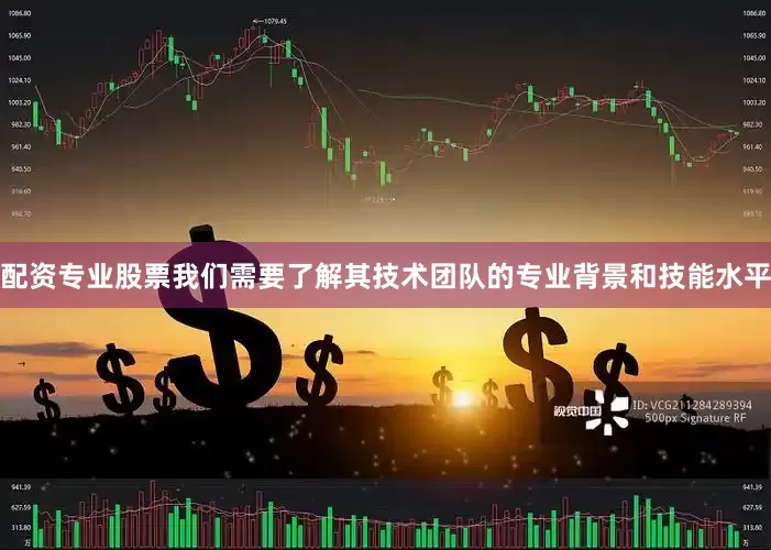 配资专业股票我们需要了解其技术团队的专业背景和技能水平