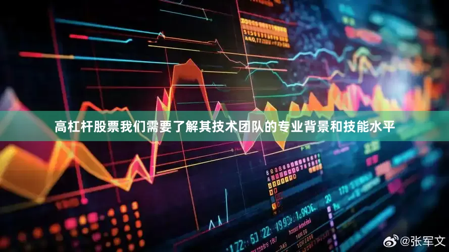 高杠杆股票我们需要了解其技术团队的专业背景和技能水平