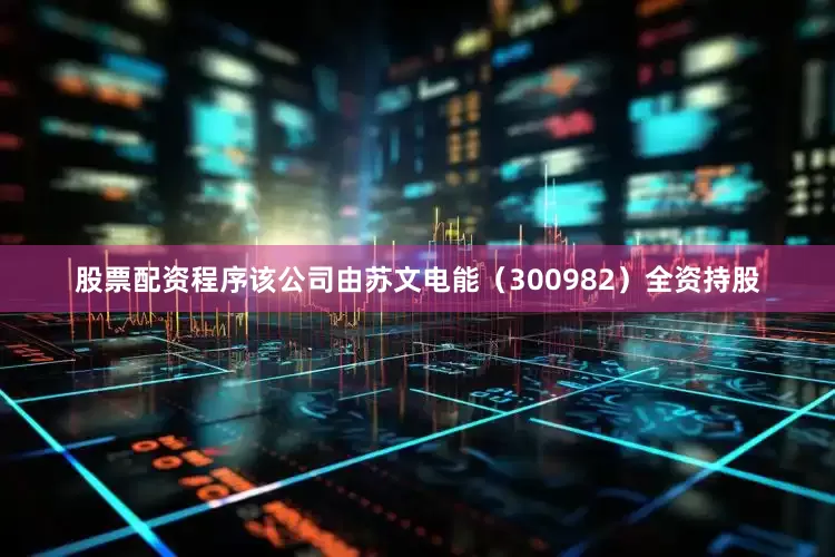 股票配资程序该公司由苏文电能（300982）全资持股