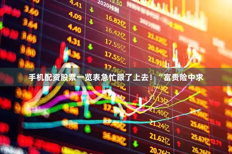 手机配资股票一览表急忙跟了上去！“富贵险中求