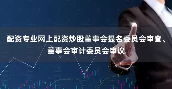 配资专业网上配资炒股董事会提名委员会审查、董事会审计委员会审议