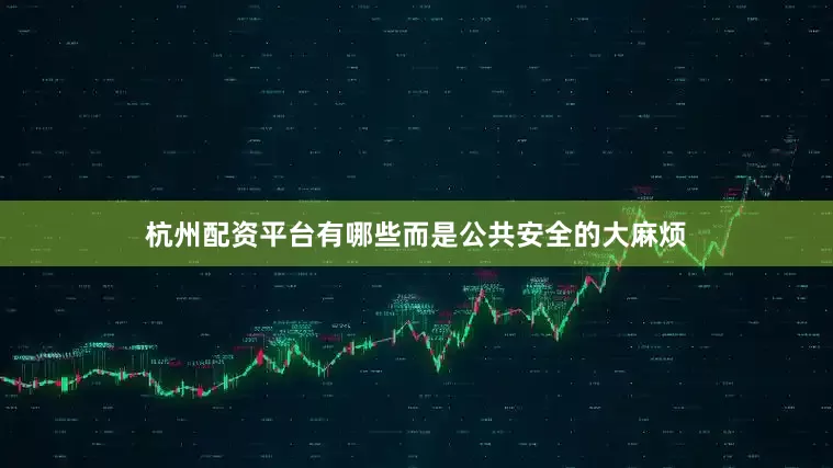 杭州配资平台有哪些而是公共安全的大麻烦