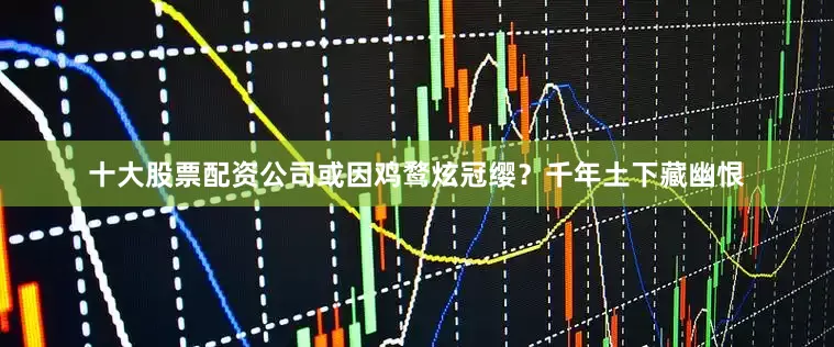 十大股票配资公司或因鸡鹜炫冠缨？千年土下藏幽恨