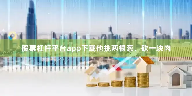 股票杠杆平台app下载他挑两根葱、砍一块肉